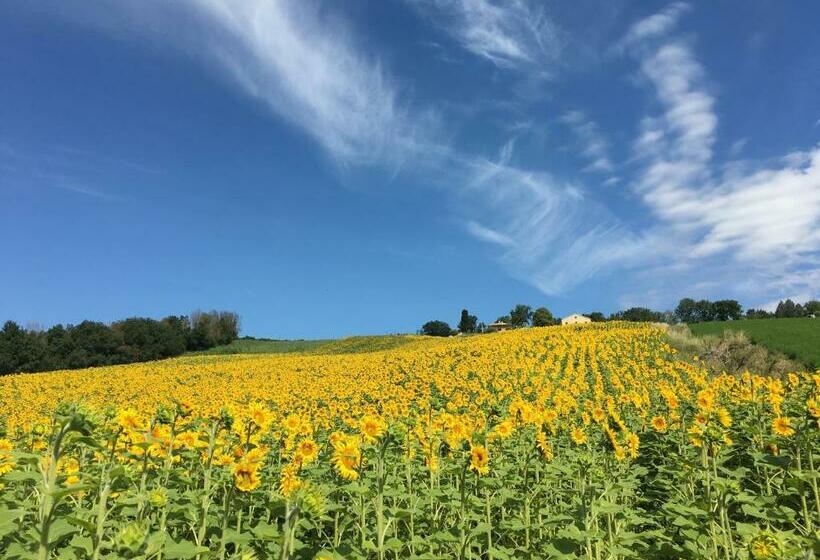 ホテル Casale Dei Cinque Colli