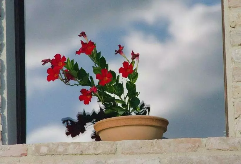 ホテル Casale Dei Cinque Colli
