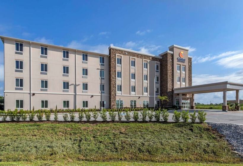 Отель Comfort Inn & Suites