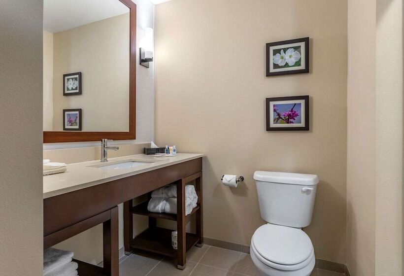 Отель Comfort Inn & Suites