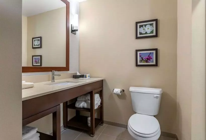 Hotelli Comfort Inn & Suites