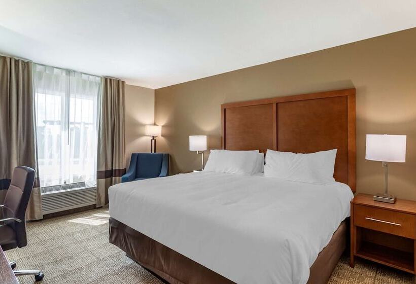 Отель Comfort Inn & Suites
