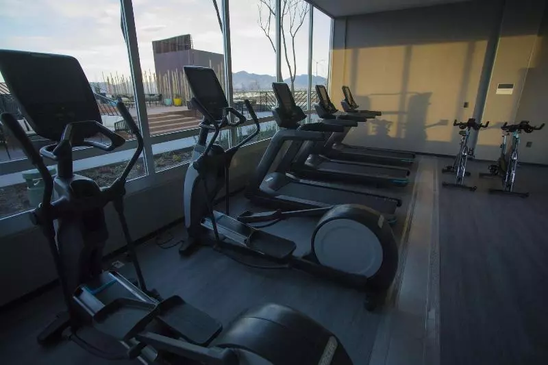 هتل Hyatt Place Saltillo