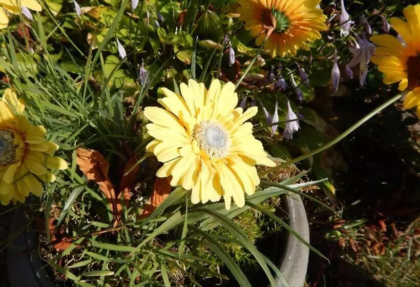 هتل A Friendly Inn At Harvard