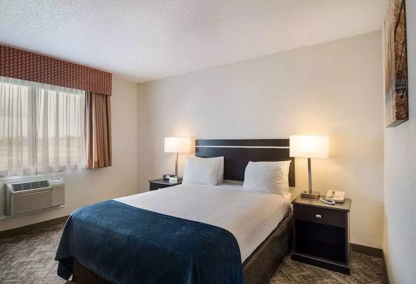 Отель Best Western Mount Pleasant Inn