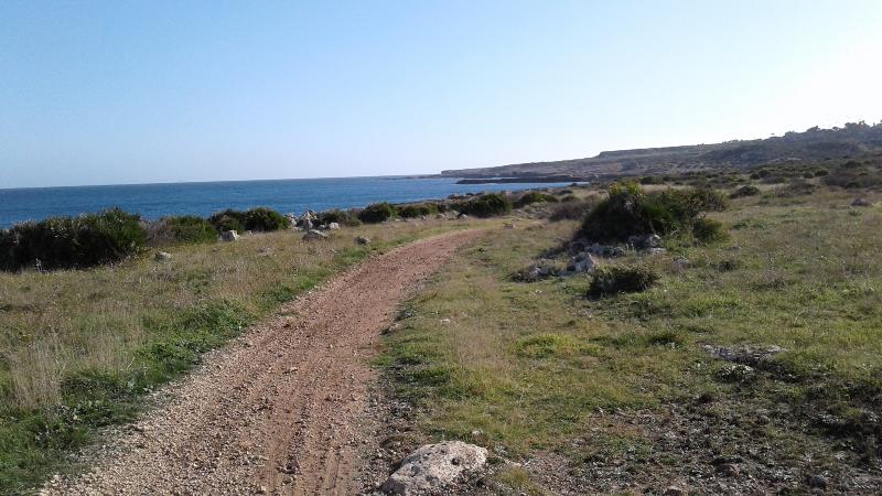 ホテル La Rosa Sul Mare