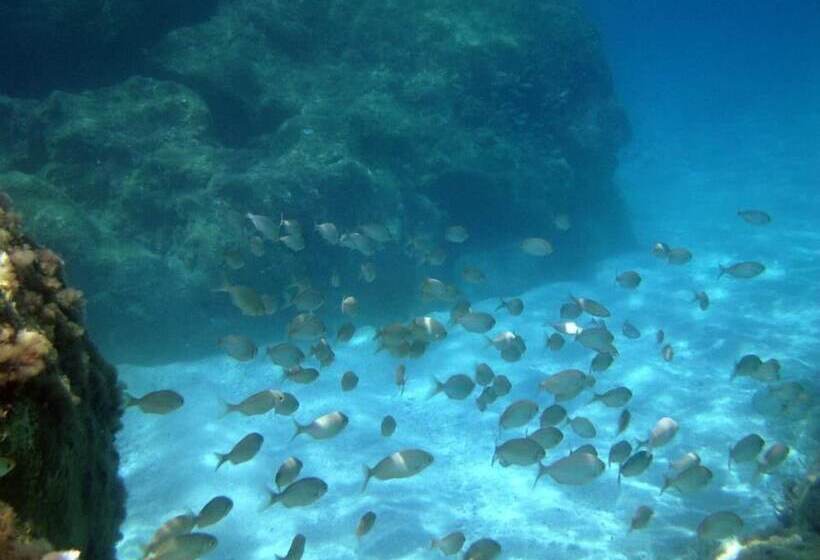 ホテル Residence Sciabache