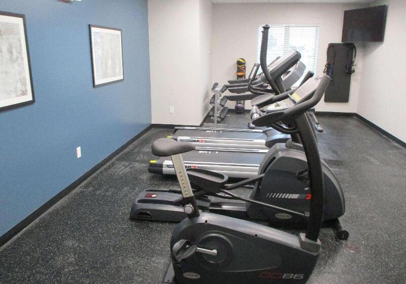 فندق Best Western Plus Wills Point