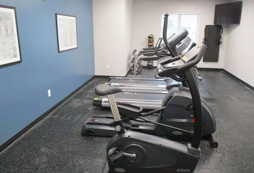 Hotelli Best Western Plus Wills Point