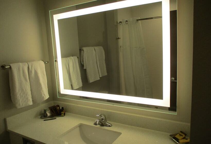 فندق Best Western Plus Wills Point