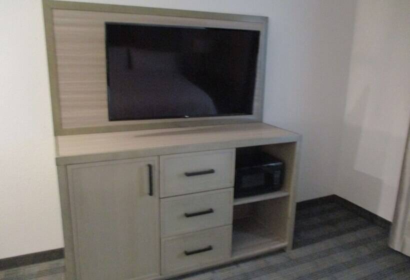 فندق Best Western Plus Wills Point