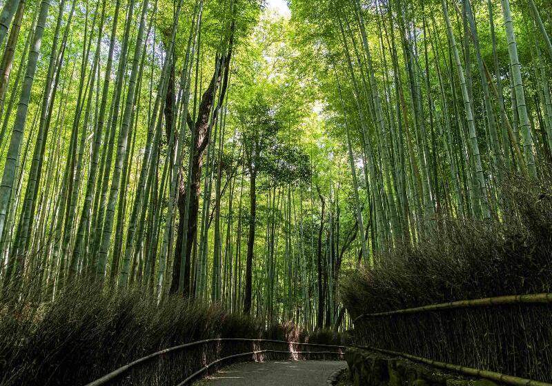 בית מלון כפרי Garrya Nijo Castle Kyoto   Banyan Group