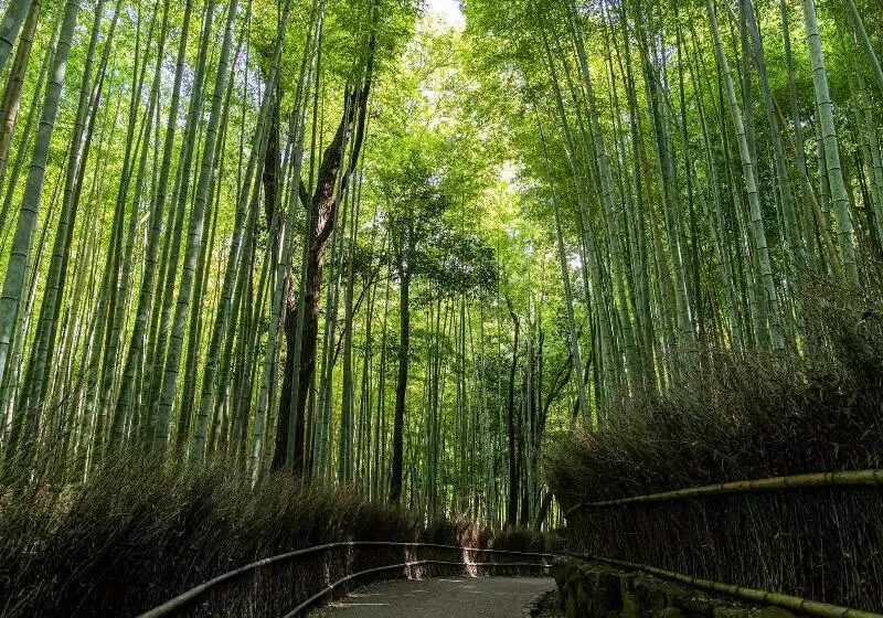 ホテル Garrya Nijo Castle Kyoto   Banyan Group