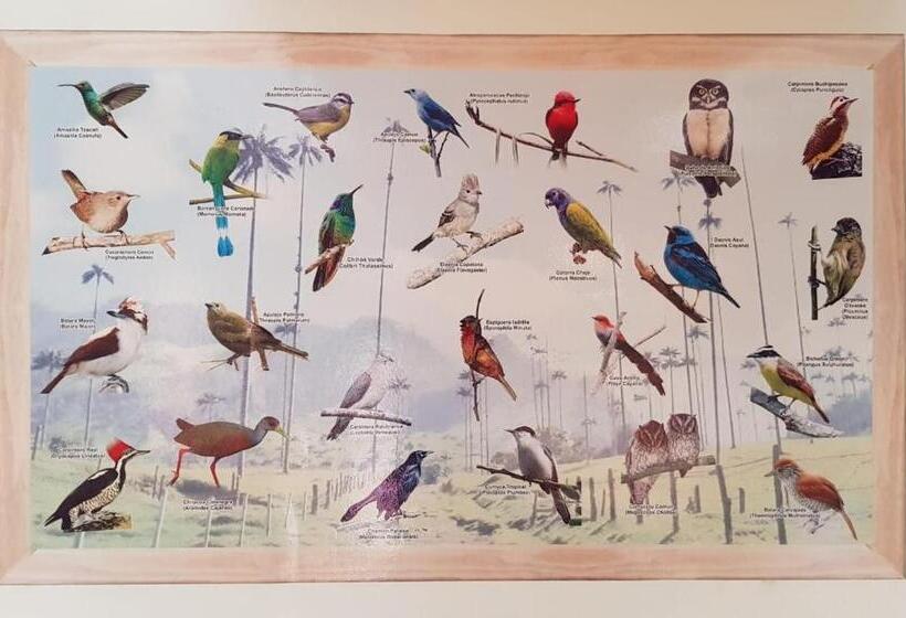 Pension Hostal Mochileros Inn