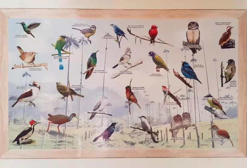 ペンション Hostal Mochileros Inn