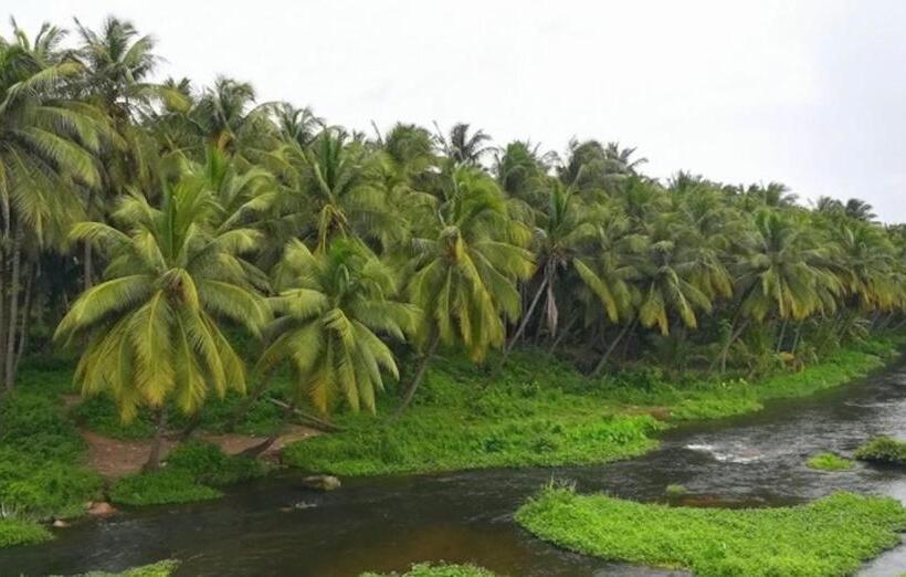 Pensionat Royal Cottage, Anaimalai Multiple Room