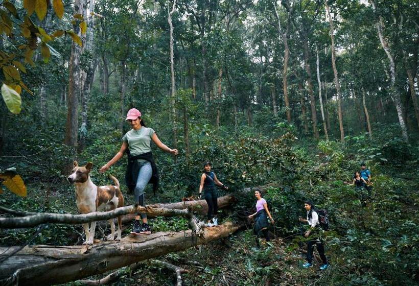 Whistling Woodzs Resort