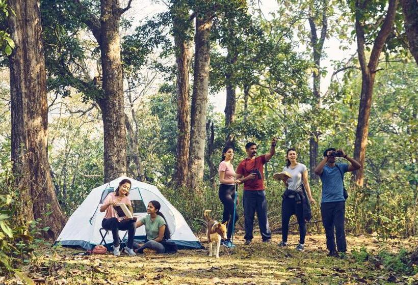 Whistling Woodzs Resort