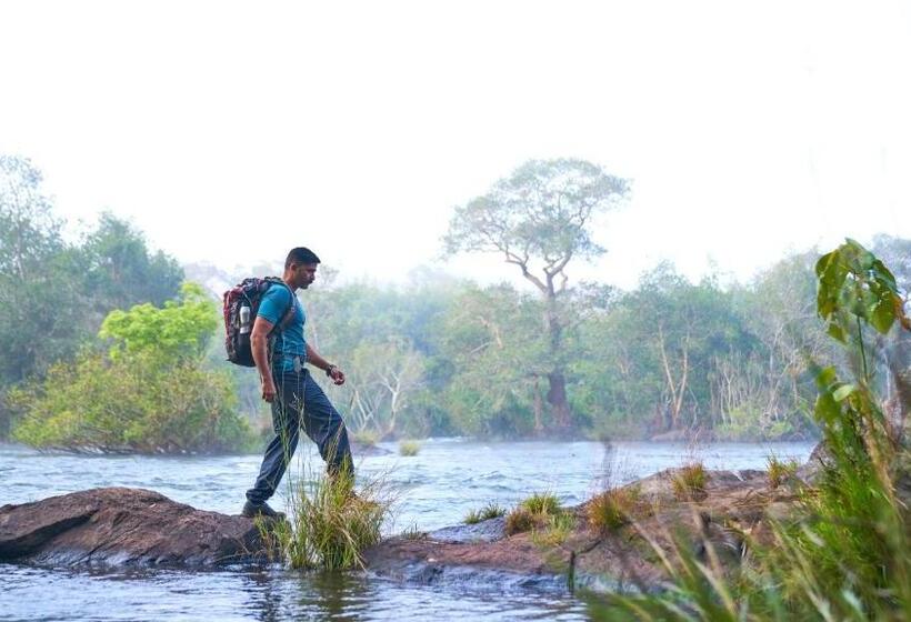 Whistling Woodzs Resort