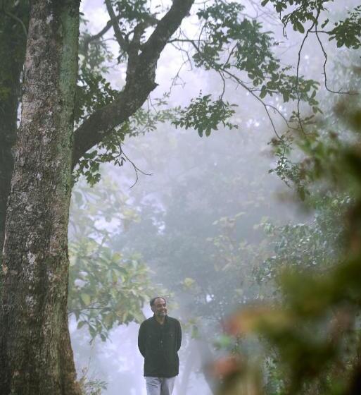 Whistling Woodzs Resort