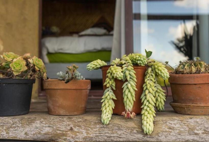 ユースホステル Lo De Ro