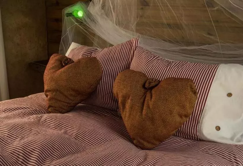 Retkeilymaja Lo De Ro