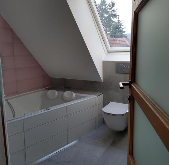 צימר Apartmány Malý Mnich