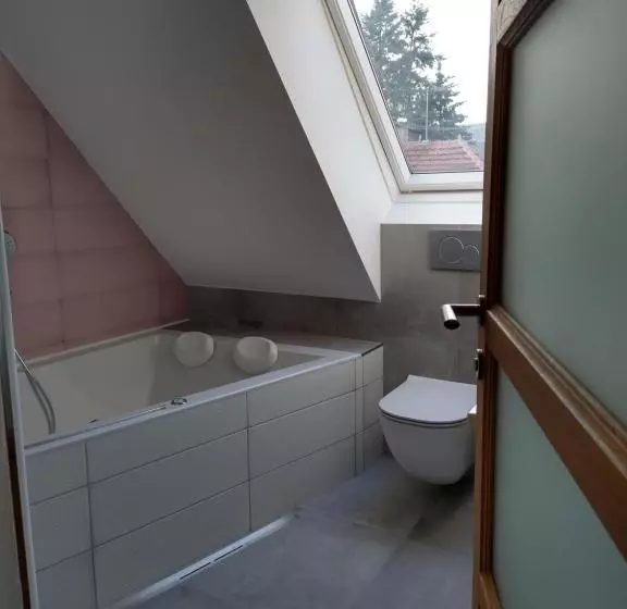 Aamiaismajoitus (B&B) Apartmány Malý Mnich