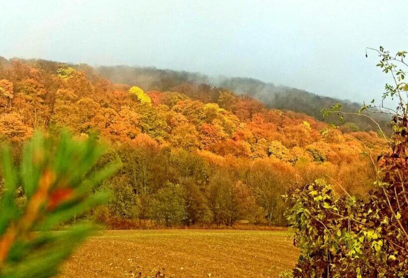 민박 Somhegyi öreg Hársfák Major Vendégház
