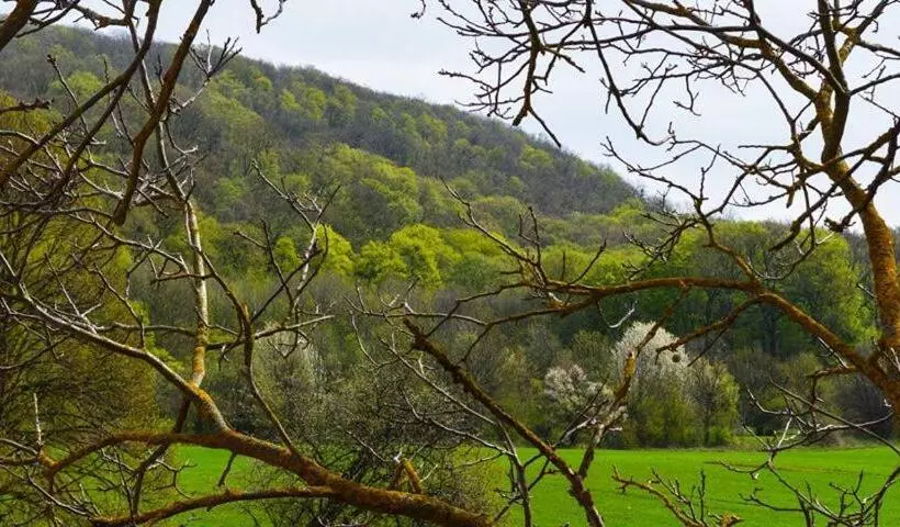 Aamiaismajoitus (B&B) Somhegyi öreg Hársfák Major Vendégház