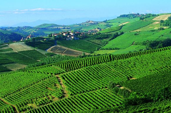 호텔 Barolo Classico