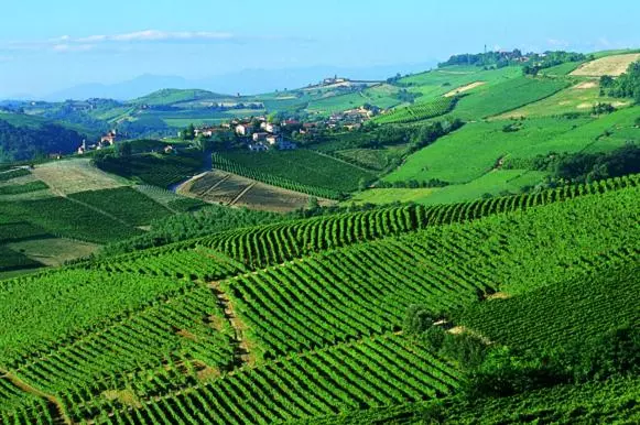 Hotelli Barolo Classico