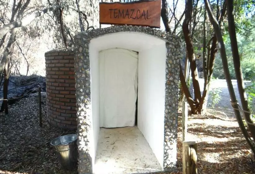 ホテル Viña Don Heraldo