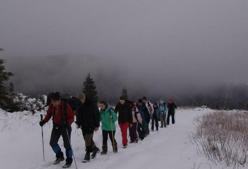 Пансион Chalet Truten