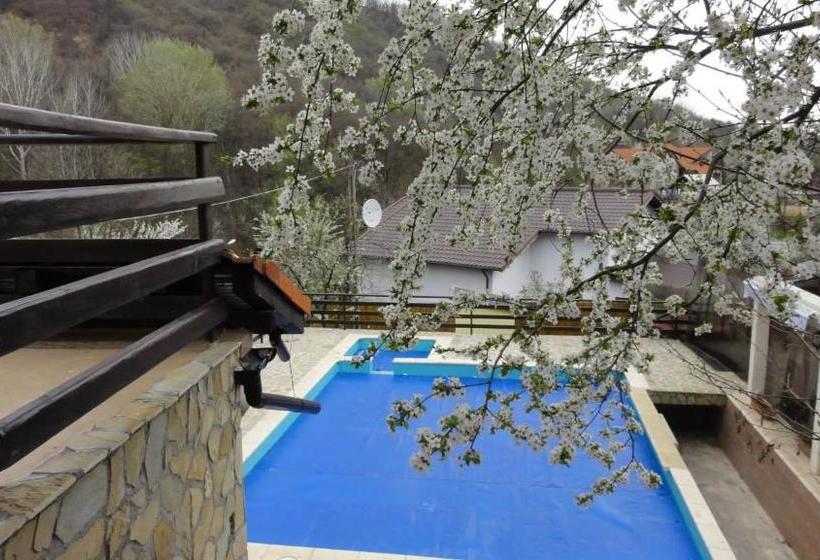 بنسيون Vila Europa