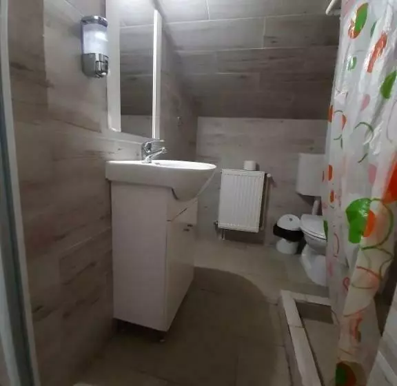 ペンション Complex Turistic Casianna & Spa