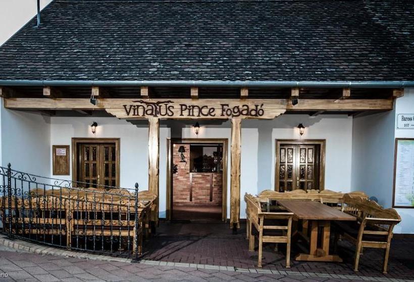 הוסטל Vinatus Pince