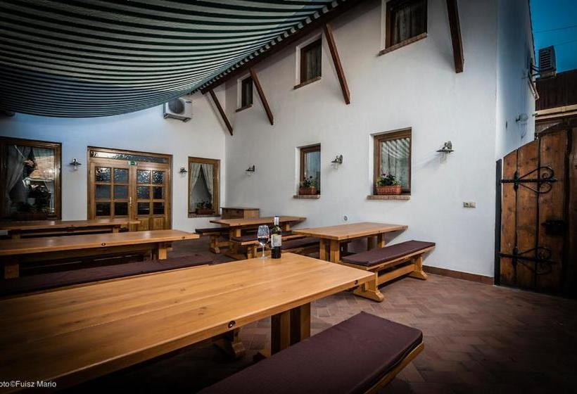 הוסטל Vinatus Pince