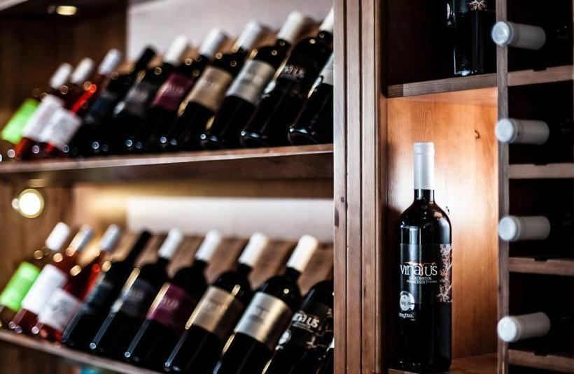 הוסטל Vinatus Pince