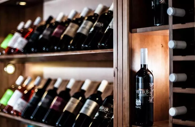 ユースホステル Vinatus Pince