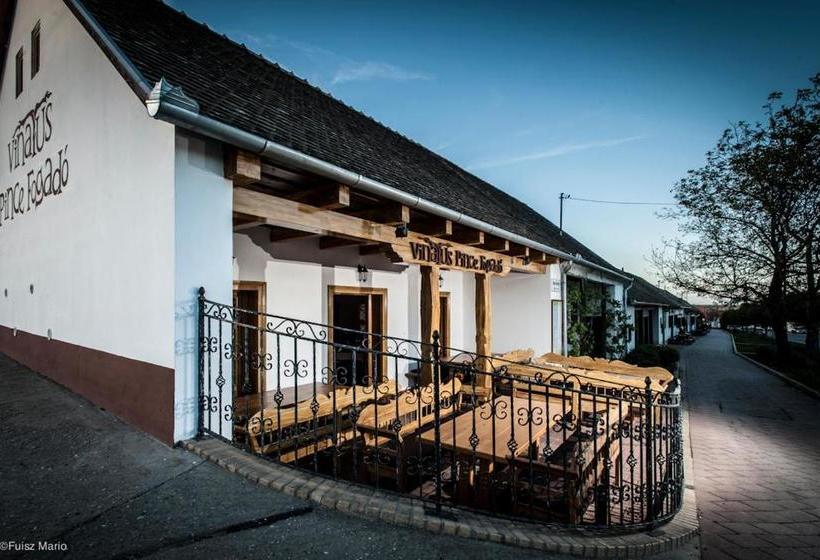 הוסטל Vinatus Pince