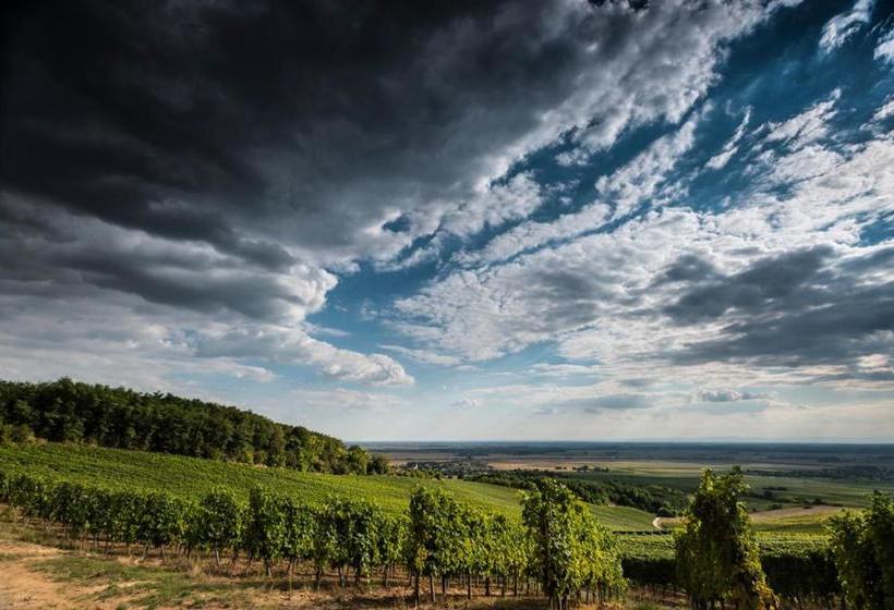 הוסטל Vinatus Pince