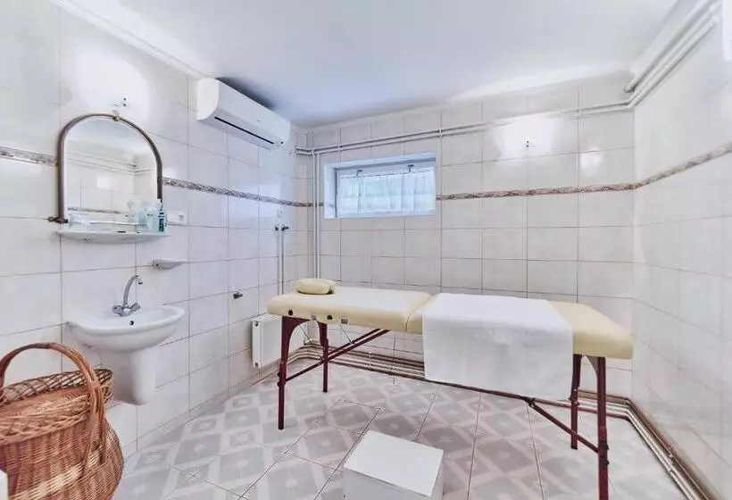 ホテル Tokajer Wellness Panzió