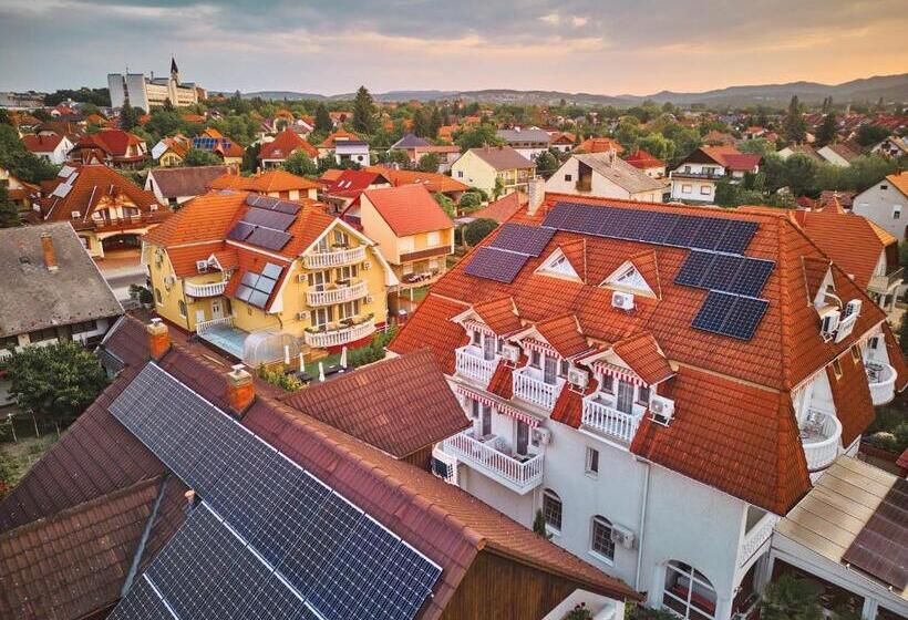 فندق Tokajer Wellness Panzió