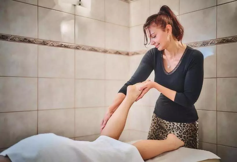 ホテル Tokajer Wellness Panzió