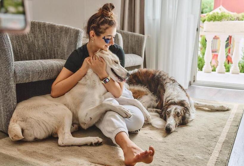 فندق Tokajer Wellness Panzió