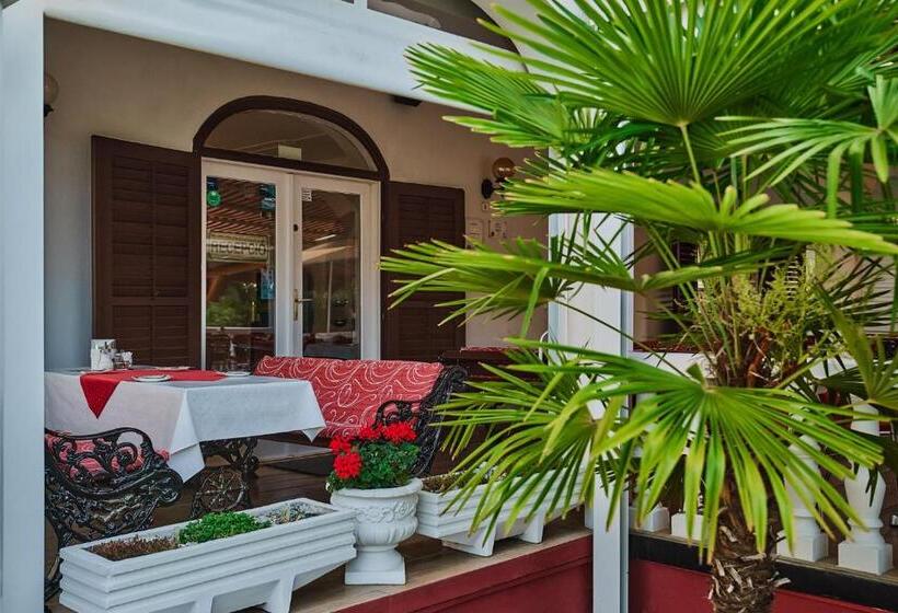 فندق Tokajer Wellness Panzió