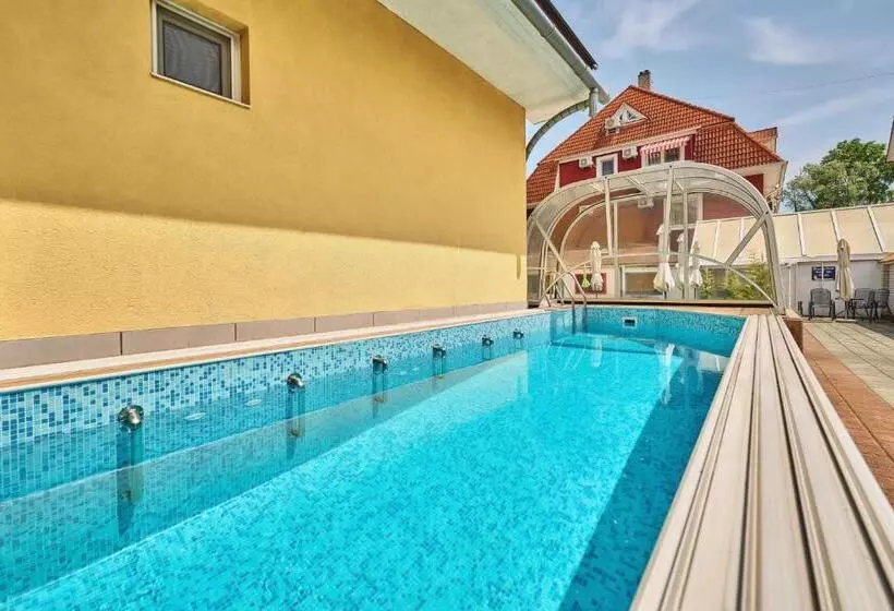 ホテル Tokajer Wellness Panzió