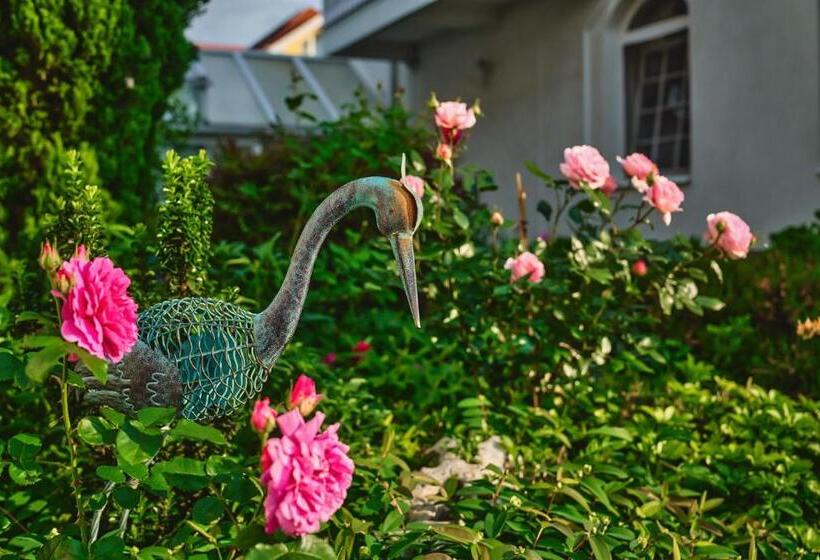 فندق Tokajer Wellness Panzió