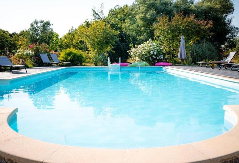 Bed and Breakfast Domaine Des Jammetous   Hotel And Yoga Retreat Center